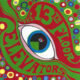 13th floor elevators - the psychedelic sound