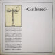 vvaa - gathered